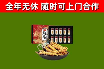 安阳回收冬虫夏草价格